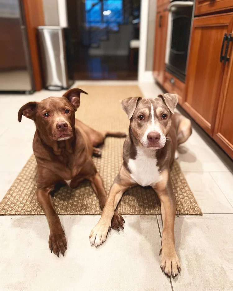 Perry & George